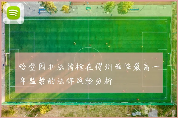 哈登因非法持枪在得州面临最高一年监禁的法律风险分析