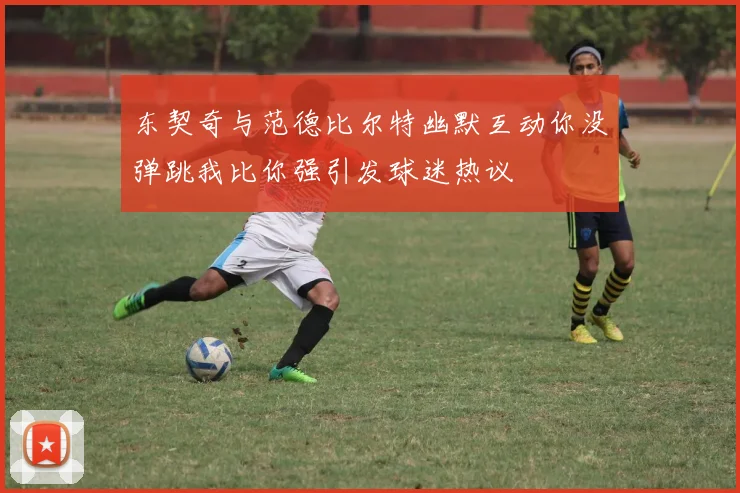 东契奇与范德比尔特幽默互动你没弹跳我比你强引发球迷热议