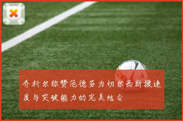 乔科尔称赞范德芬为切尔西新援速度与突破能力的完美结合
